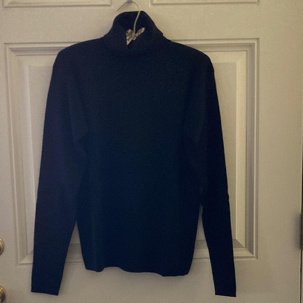 Linda Allard Ellen Tracy Black Long Sleeve Turtleneck Sweater/Wool & Silk/L/EUC